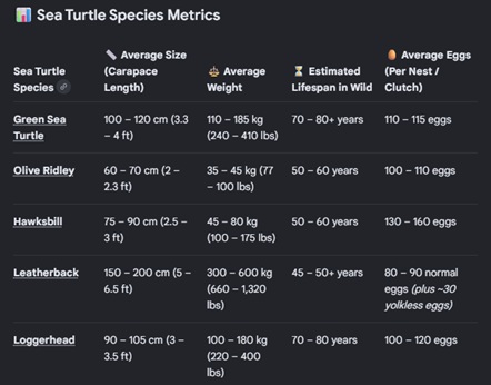 Sea Turtle Details